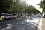 Восточный Берлин. Бульвар «Unter den Linden» - бесконечный бульвар под липами. В XVII веке улица была засажена 2000 тыс. ореховых и липовых деревьев. Во времена Гитлера часть деревьев выкорчевали, чтобы расширить проезд.