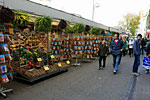 Амстердамский цветочный рынок. Здесь можно купить любые или почти любые цветы.