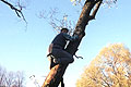 Первая фотография серии "Друзья на деревьях"! Павел Михайлов - намбер ван!